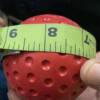 Ball circumference