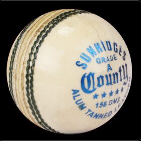ExternalLink ss county white cricket ball 11055026 0