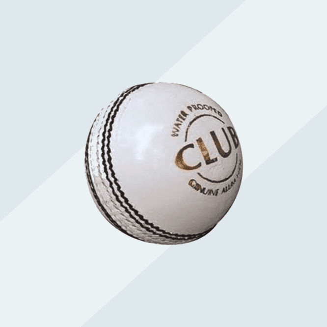 SG Cricket ball