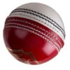 Graynicolls Crest Special 2piece Cricket Ball Redwhite 3008577 1600.jpg